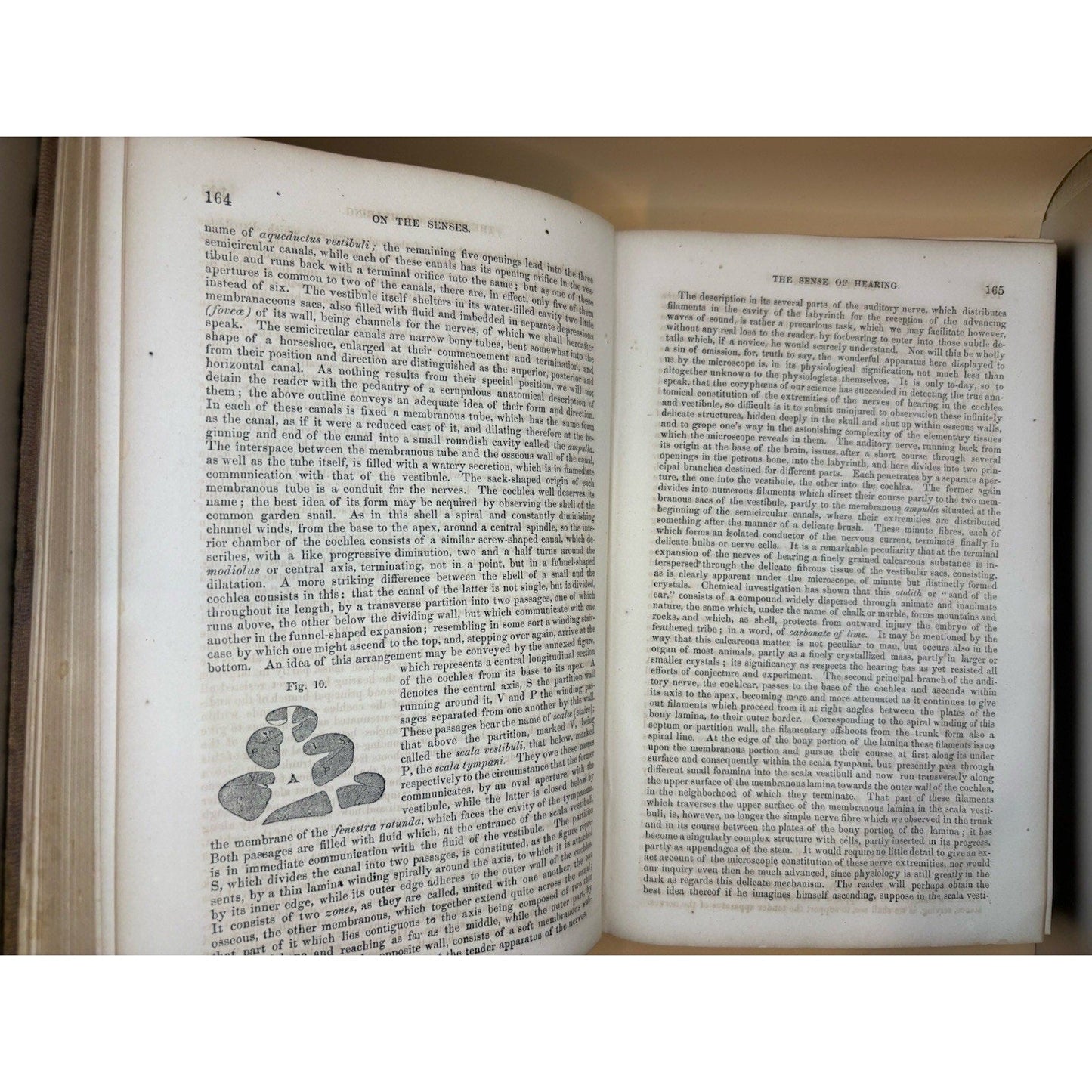 1867 Smithsonian Annual Report Board of Regents Antique GPO 19th C - Humphrey's Book Den