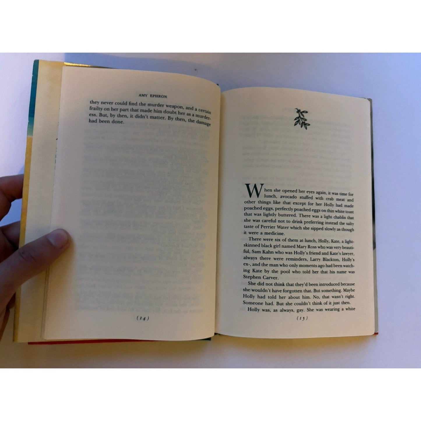 Bruised Fruit Amy Ephron Signed 1987 First Edition HC w/ Dust Jacket - Humphrey's Book Den