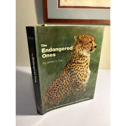 Lot of 3 Africa Wildlife Books – National Geographic & Field Guides - Humphrey's Book Den