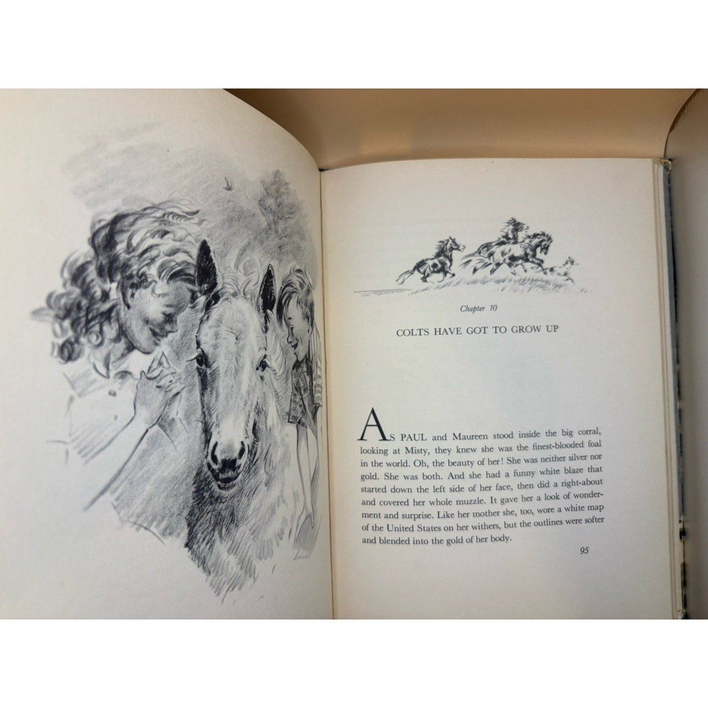 Misty of Chincoteague by Marguerite Henry; Wesley Dennis (Illus) HCDJ First Ed - Humphrey's Book Den