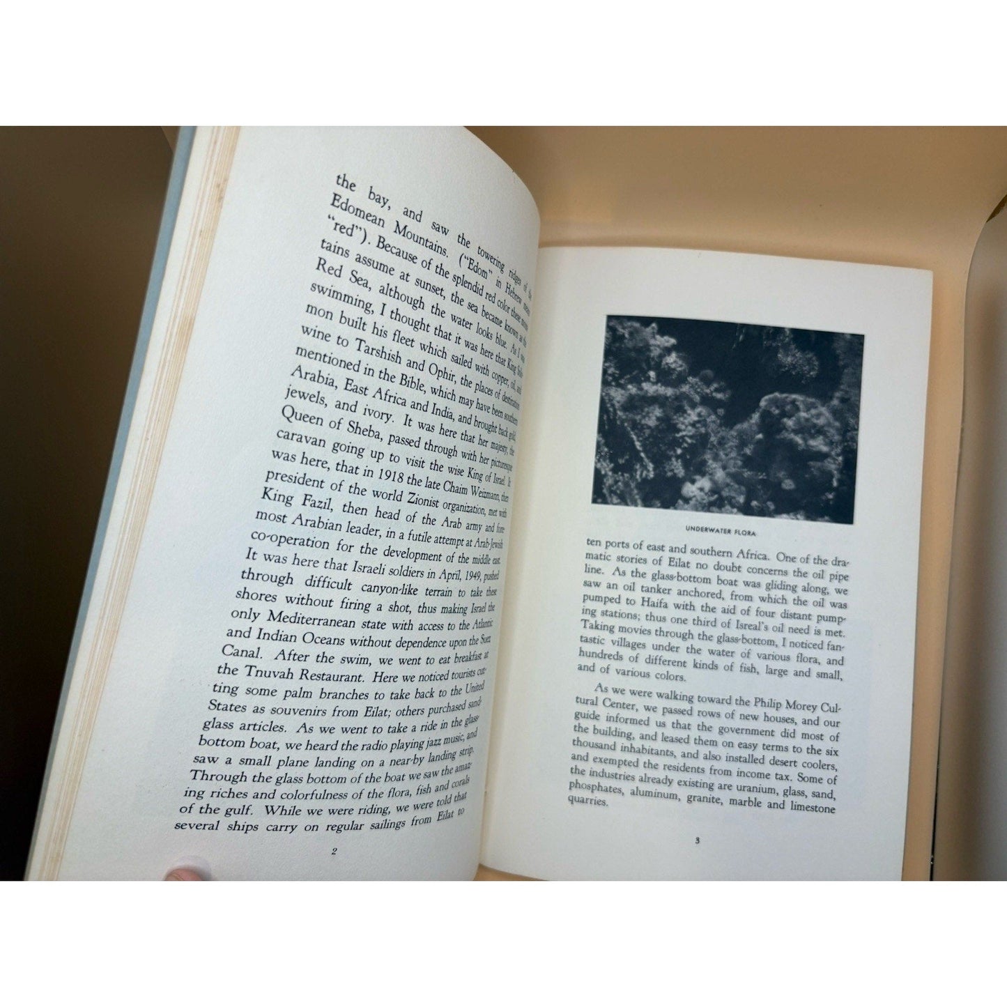 Signed 1962 Pilgrimage to the Land of the Bible Jacob M. Elbaum First Edition - Humphrey's Book Den