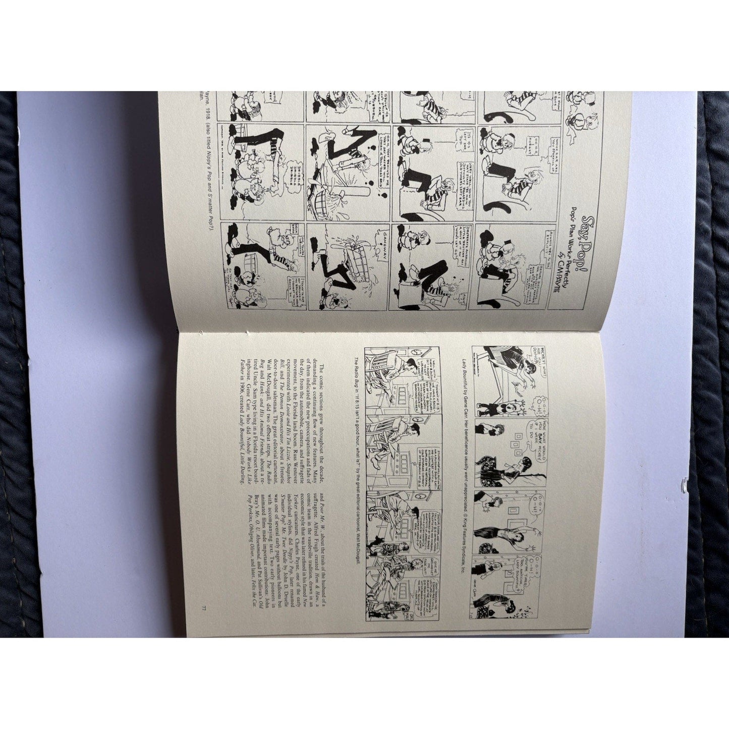 The Comics: an Illustrated History of Comic Strip Art By Jerry Robinson 1974 - Humphrey's Book Den