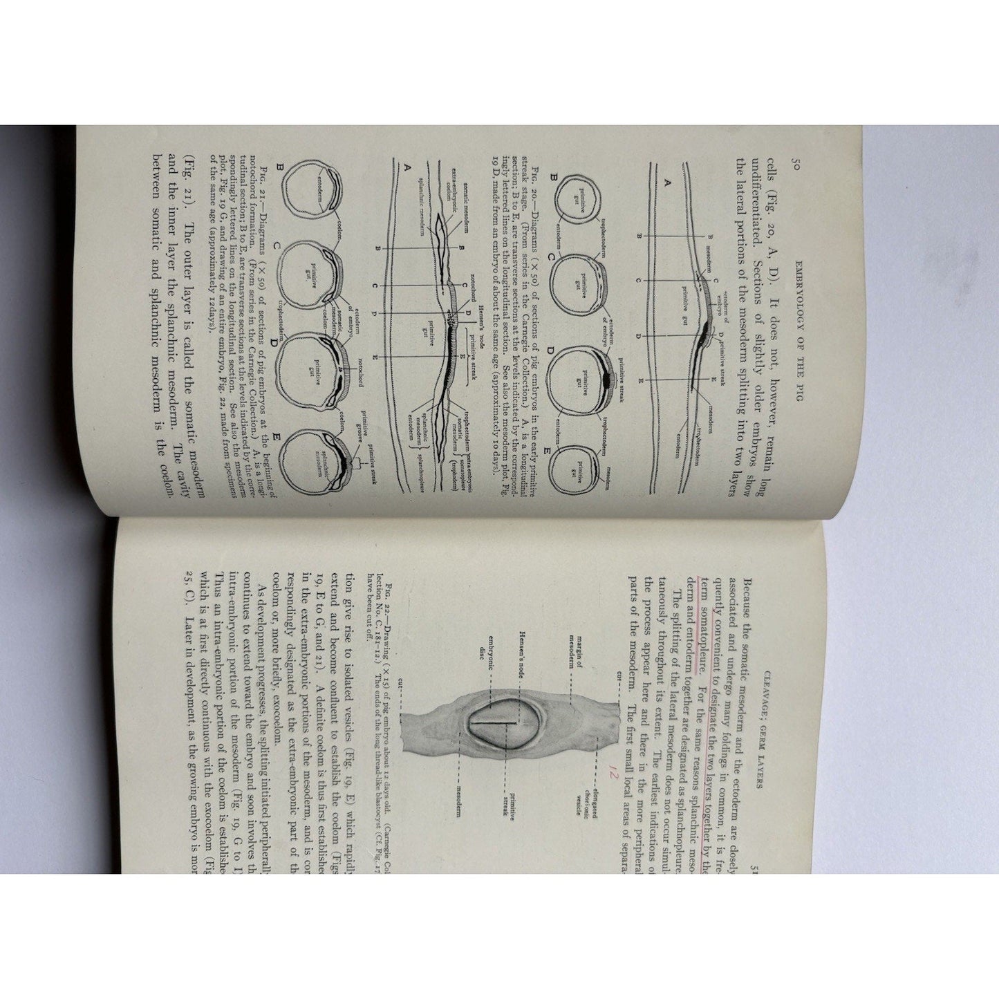 The Embryology of the Pig Patten 1931 2nd Ed. Blakiston HC Veterinary Anatomy - Humphrey's Book Den
