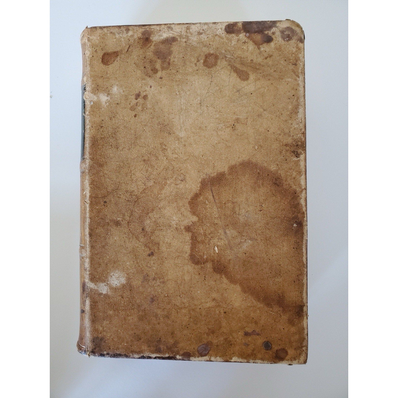 1866 Dunglison Medical Lexicon Dictionary Medical Science Leather Antique - Humphrey's Book Den