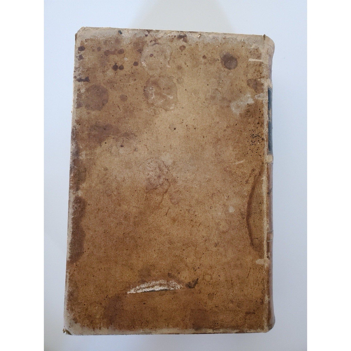 1866 Dunglison Medical Lexicon Dictionary Medical Science Leather Antique - Humphrey's Book Den