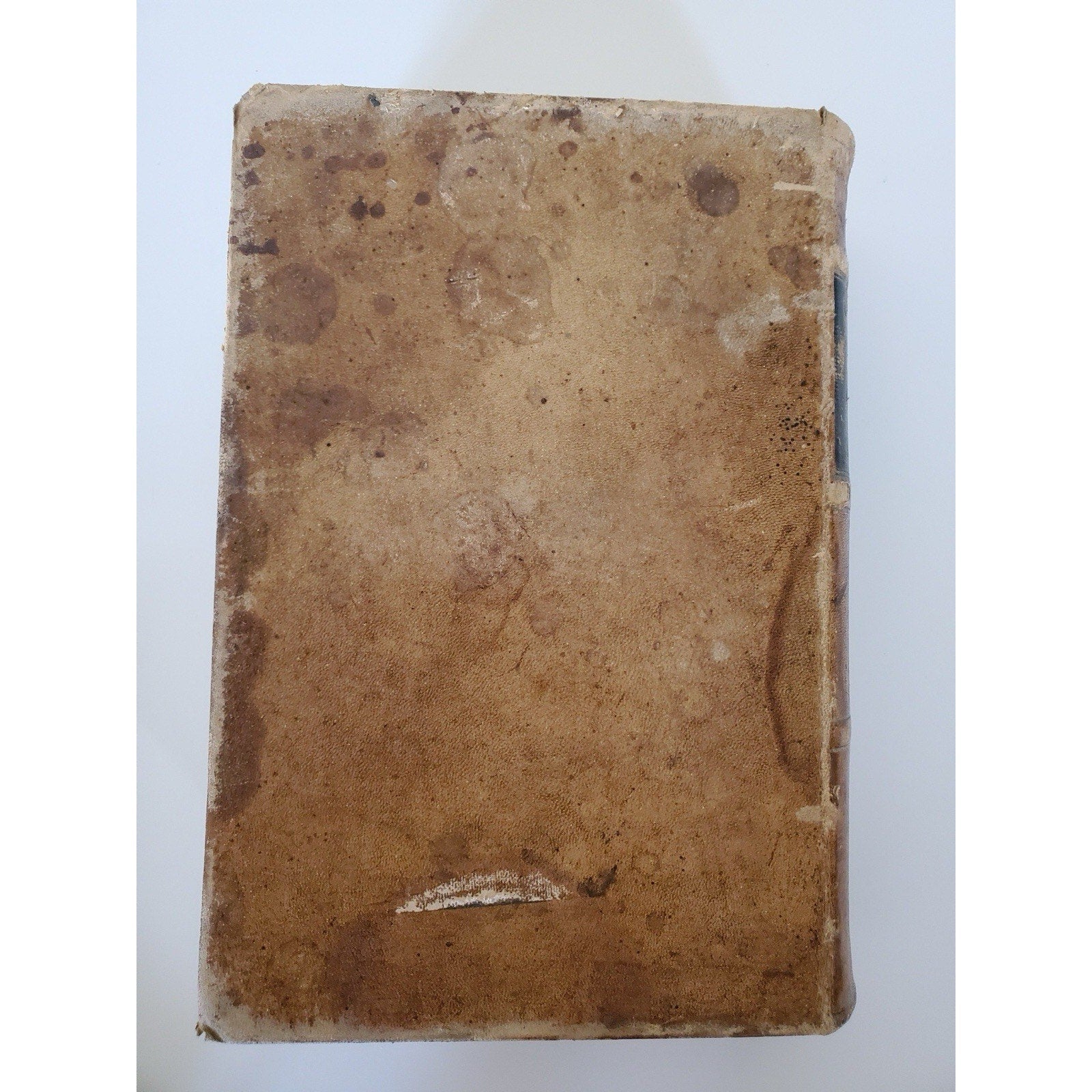 1866 Dunglison Medical Lexicon Dictionary Medical Science Leather Antique - Humphrey's Book Den