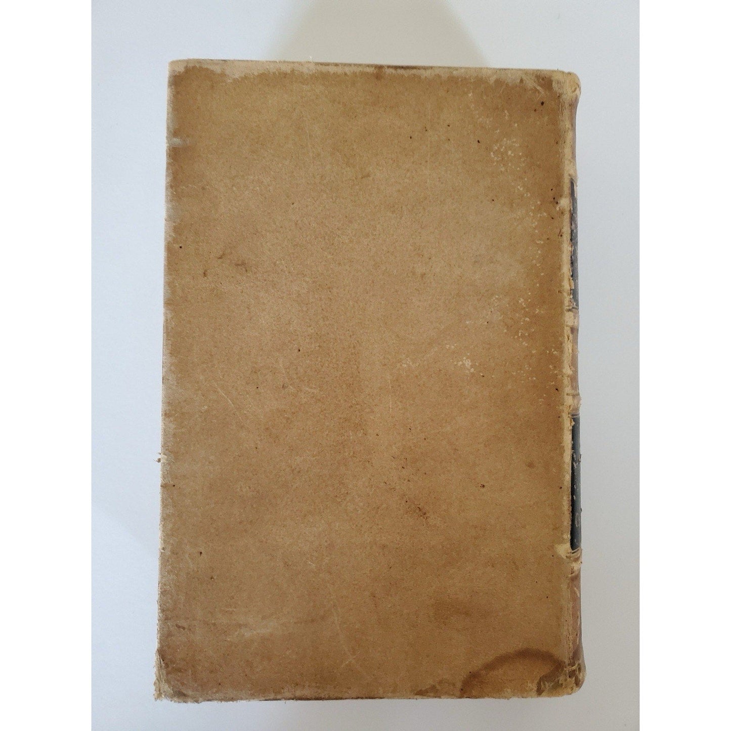 1880 Reynolds System of Medicine Vol II Respiratory Circulatory Leather - Humphrey's Book Den