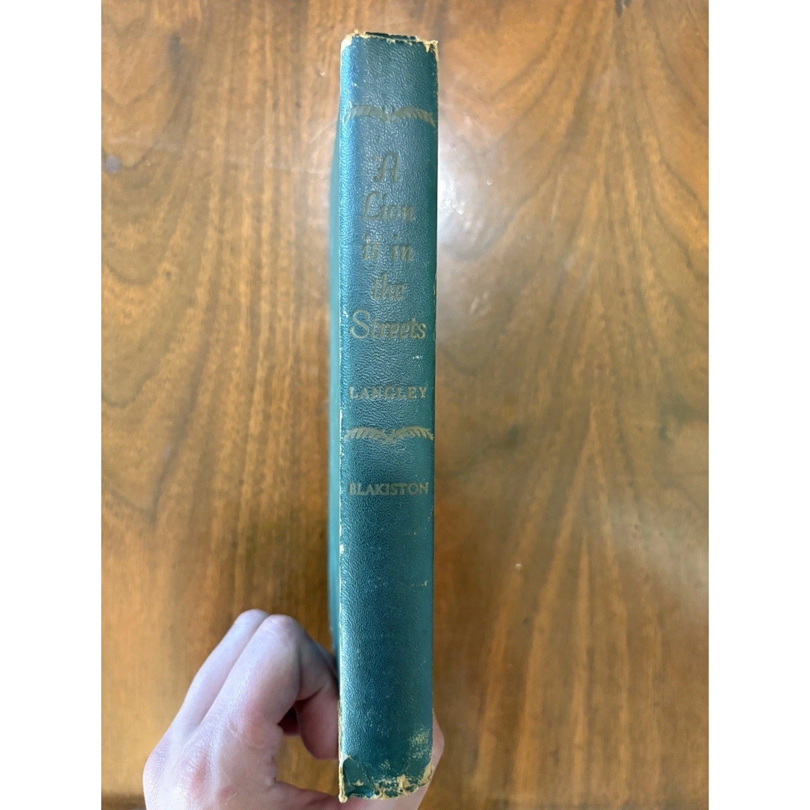 A LION IS IN THE STREETS by Adria Locke Langley Hardcover Historical Fiction - Humphrey's Book Den