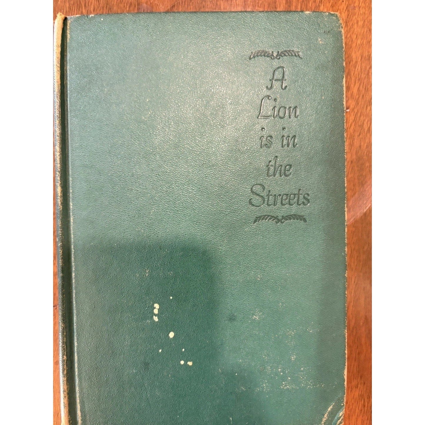 A LION IS IN THE STREETS by Adria Locke Langley Hardcover Historical Fiction - Humphrey's Book Den