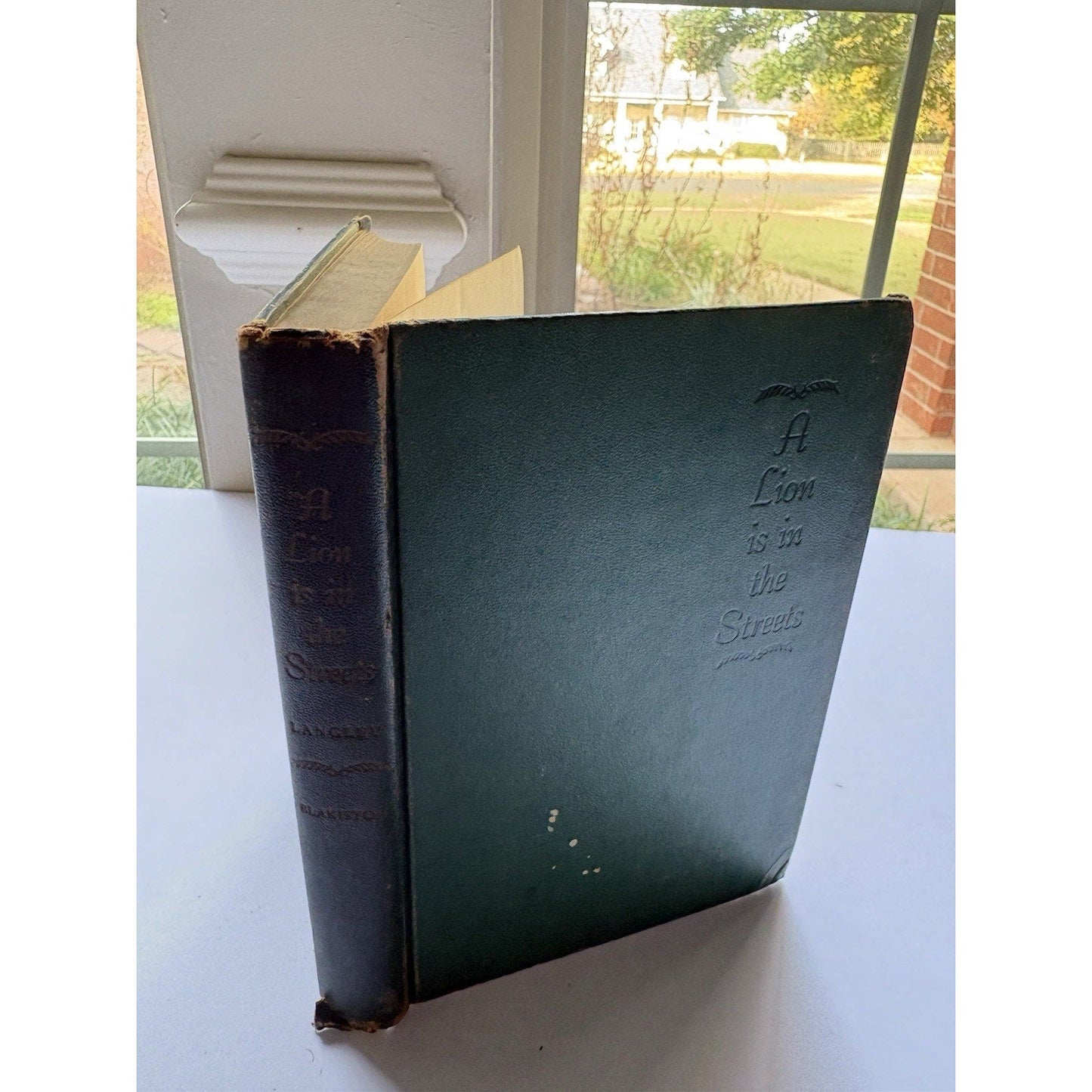 A LION IS IN THE STREETS by Adria Locke Langley Hardcover Historical Fiction - Humphrey's Book Den