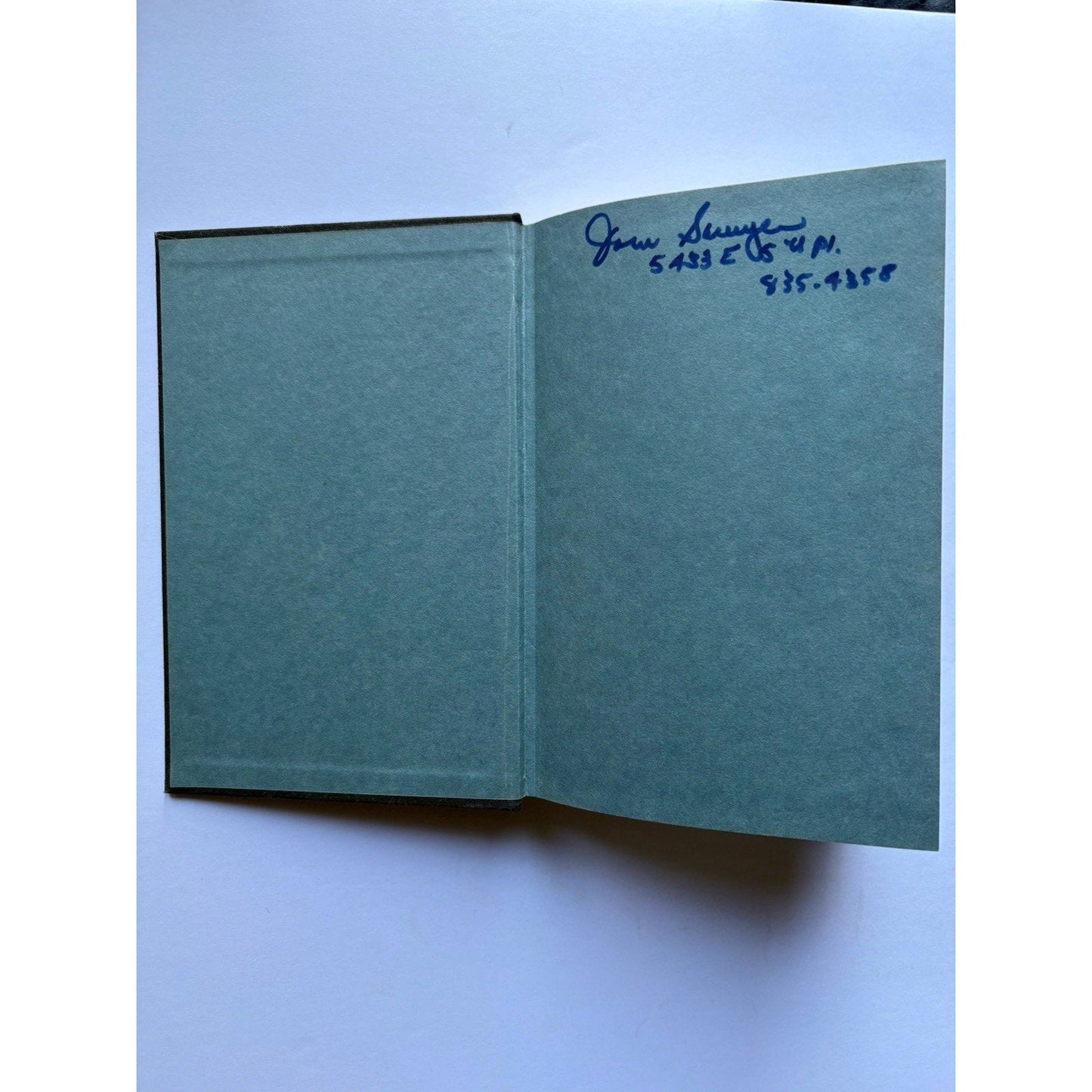 A Ring of Endless Light Madeleine L’Engle 1980 First Edition First Printing FSG - Humphrey's Book Den