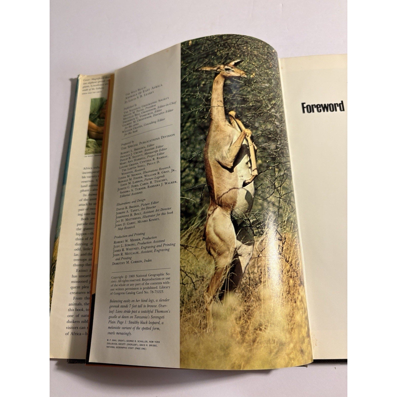 Animals Of East Africa by Louis Leakey 1969 National Geographic Society HC - Humphrey's Book Den