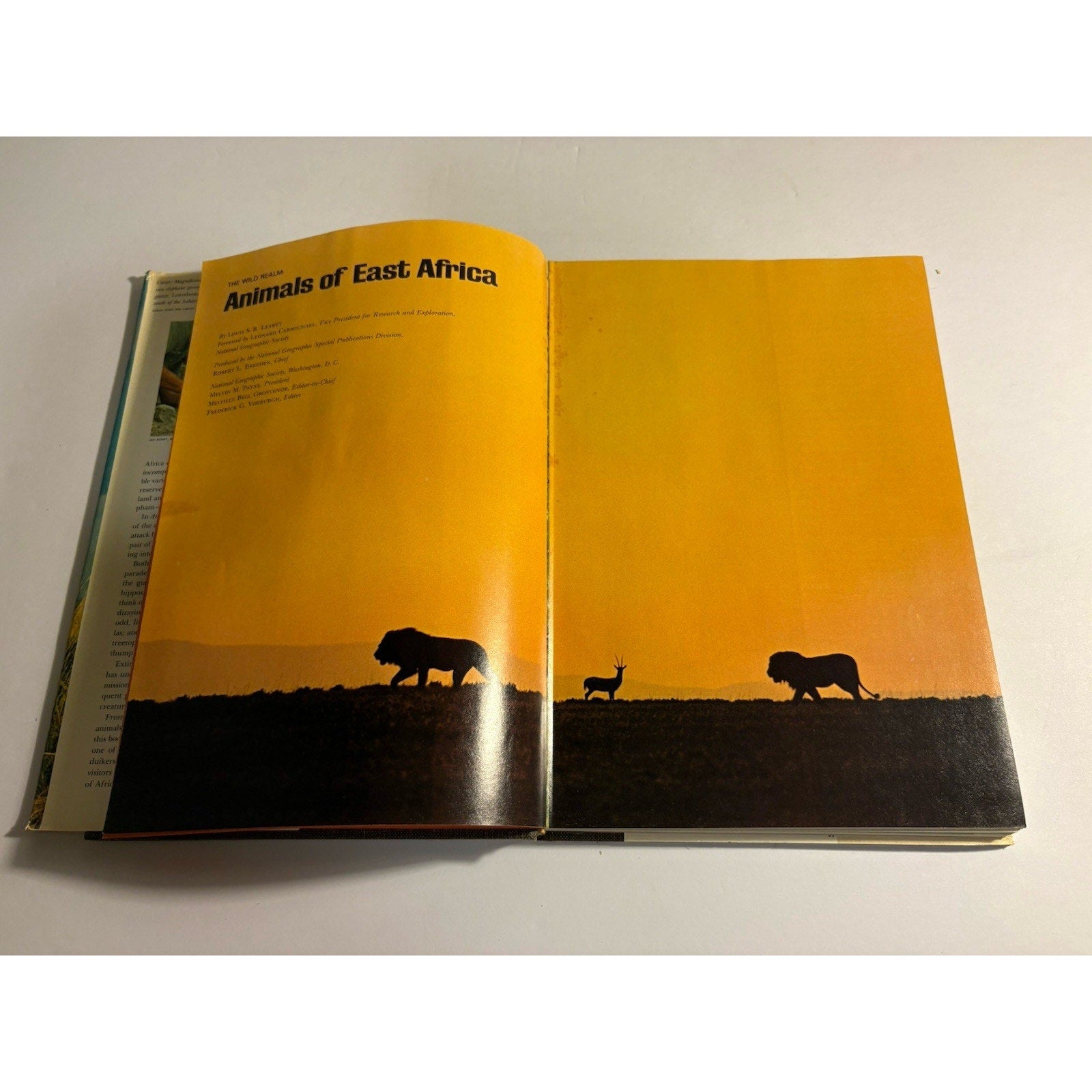 Animals Of East Africa by Louis Leakey 1969 National Geographic Society HC - Humphrey's Book Den