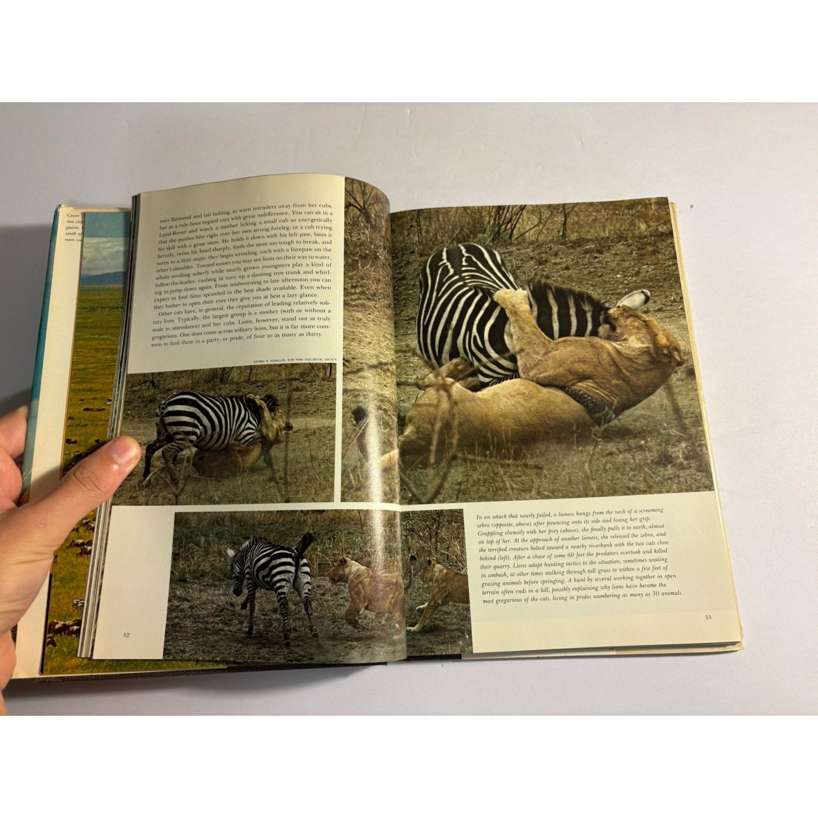 Animals Of East Africa by Louis Leakey 1969 National Geographic Society HC - Humphrey's Book Den