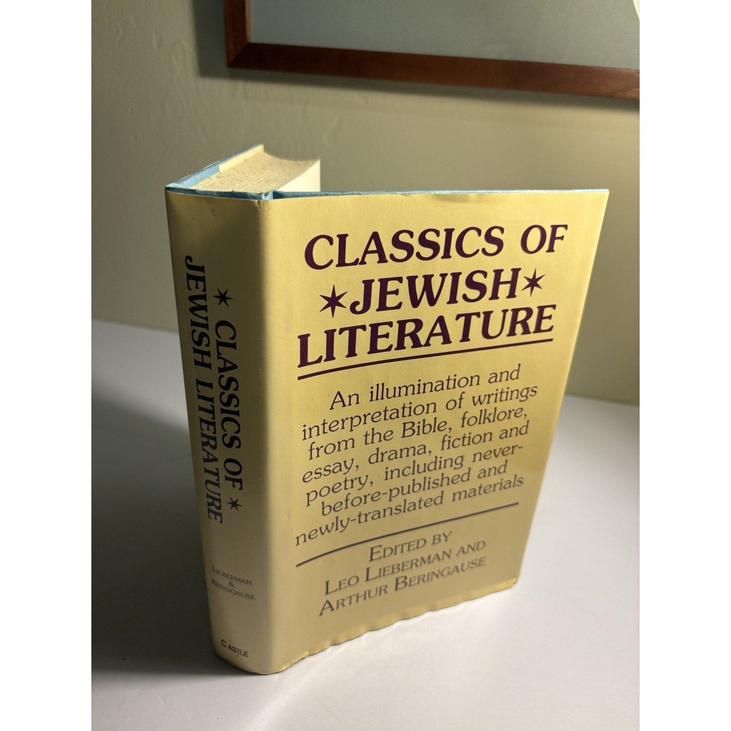 Classics of Jewish Literature HC Castle 1988 Jewish Studies Anthology - Humphrey's Book Den
