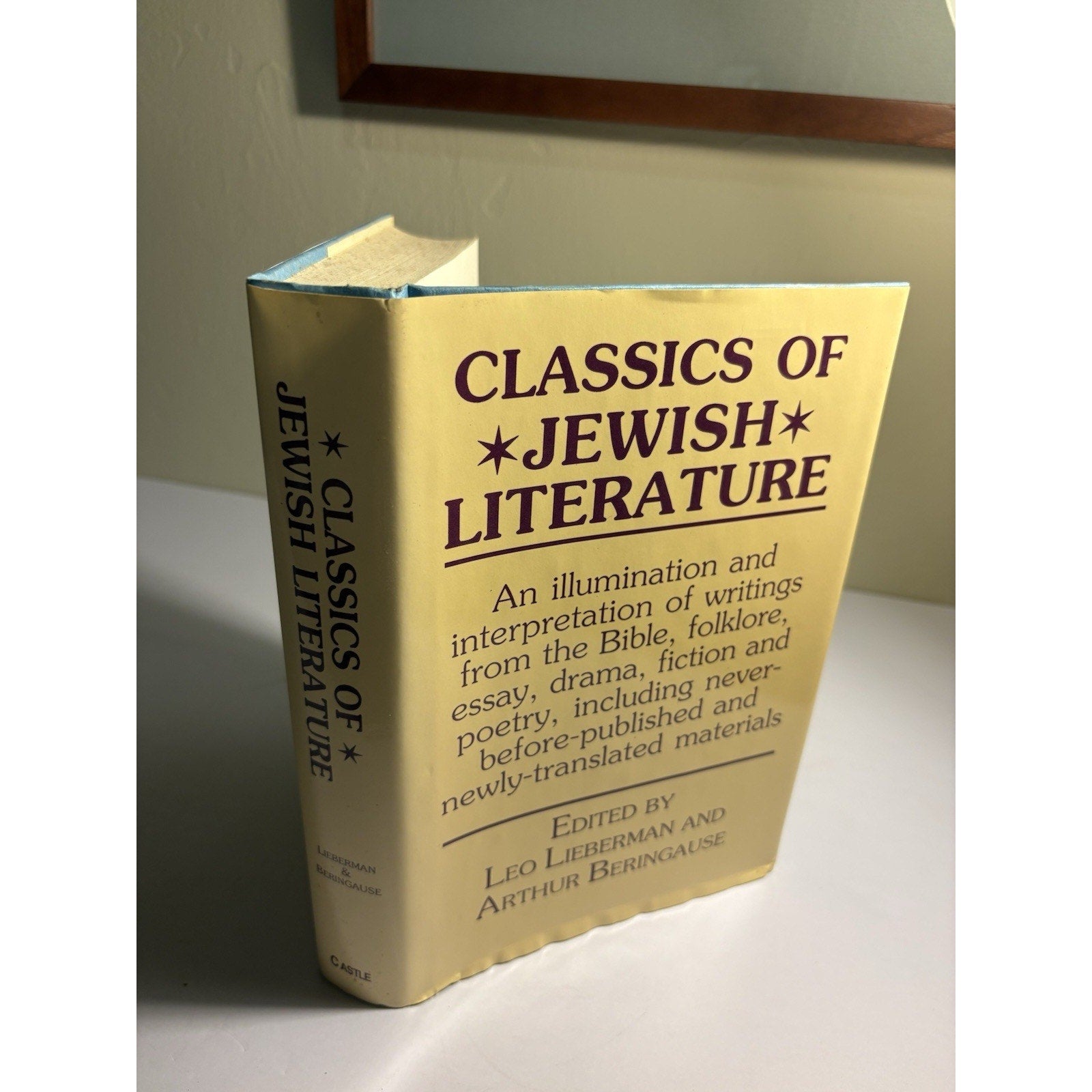 Classics of Jewish Literature HC Castle 1988 Jewish Studies Anthology - Humphrey's Book Den