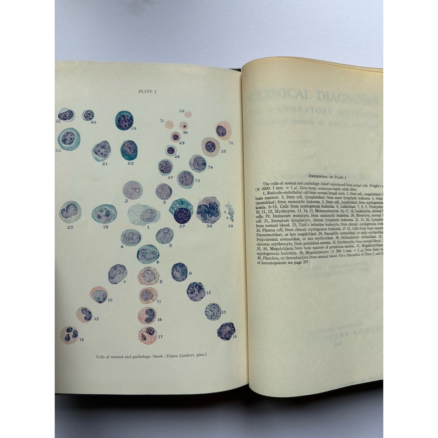 Clinical Diagnosis by Laboratory Methods Todd & Sanford 1943 10th Ed Hardcover - Humphrey's Book Den