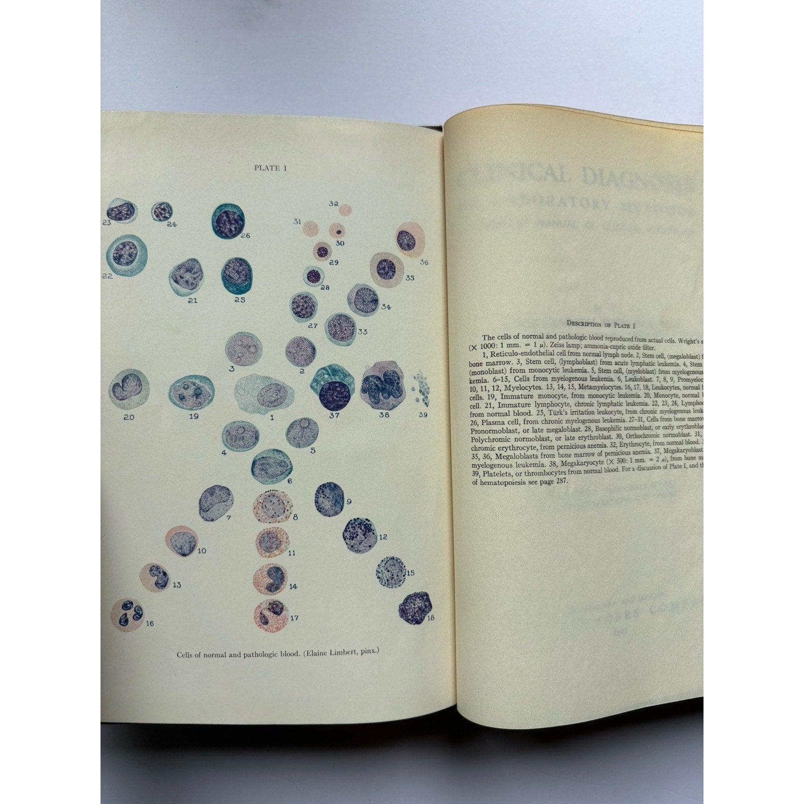 Clinical Diagnosis by Laboratory Methods Todd & Sanford 1943 10th Ed Hardcover - Humphrey's Book Den