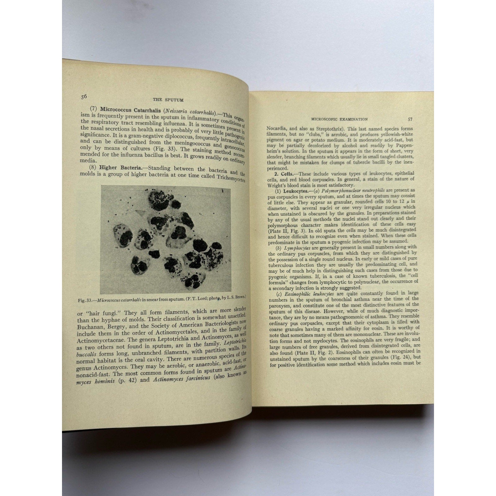 Clinical Diagnosis by Laboratory Methods Todd & Sanford 1943 10th Ed Hardcover - Humphrey's Book Den