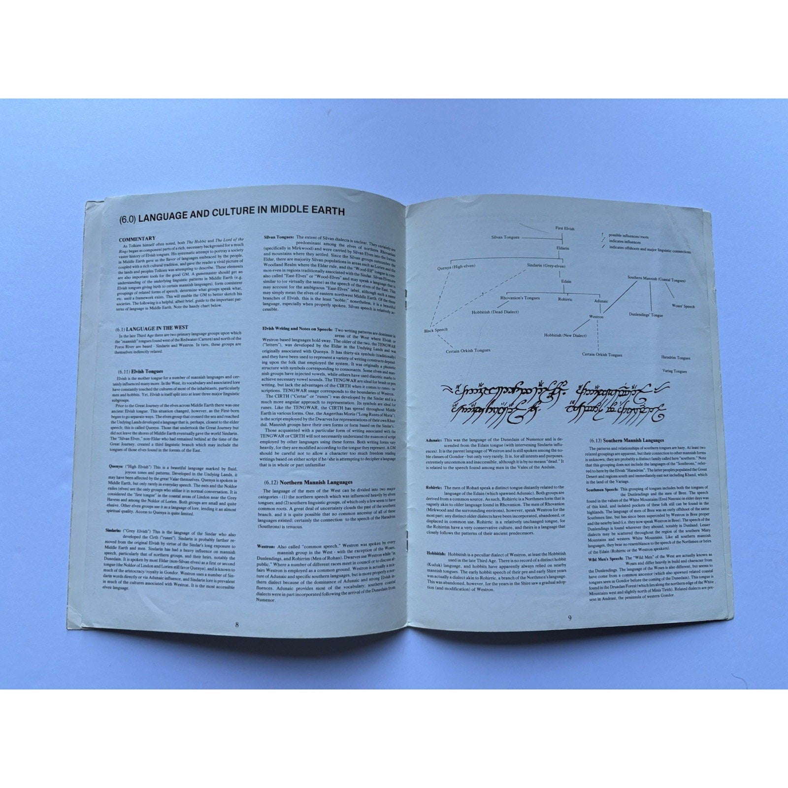 D&D Middle - earth Campaign Guide ICE 2100 1982 MERP RPG Complete w/ Map Tolkien - Humphrey's Book Den