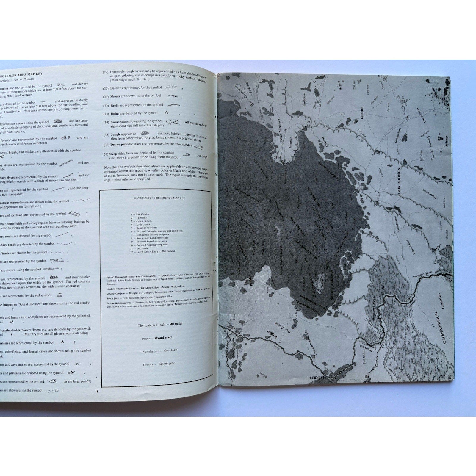 D&D Southern Mirkwood ICE 2700 1983 MERP RPG Module Complete Tolkien Dol Guldur - Humphrey's Book Den