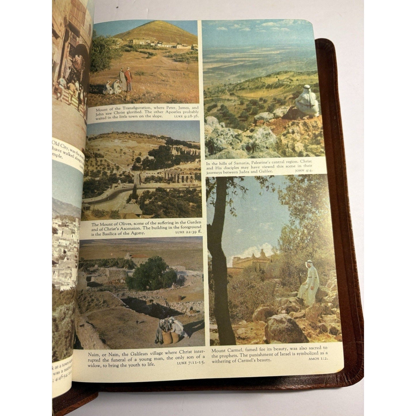 Holy Bible Heritage Deluxe Edition KJV 1955 Leather Consolidated Book Publishers - Humphrey's Book Den