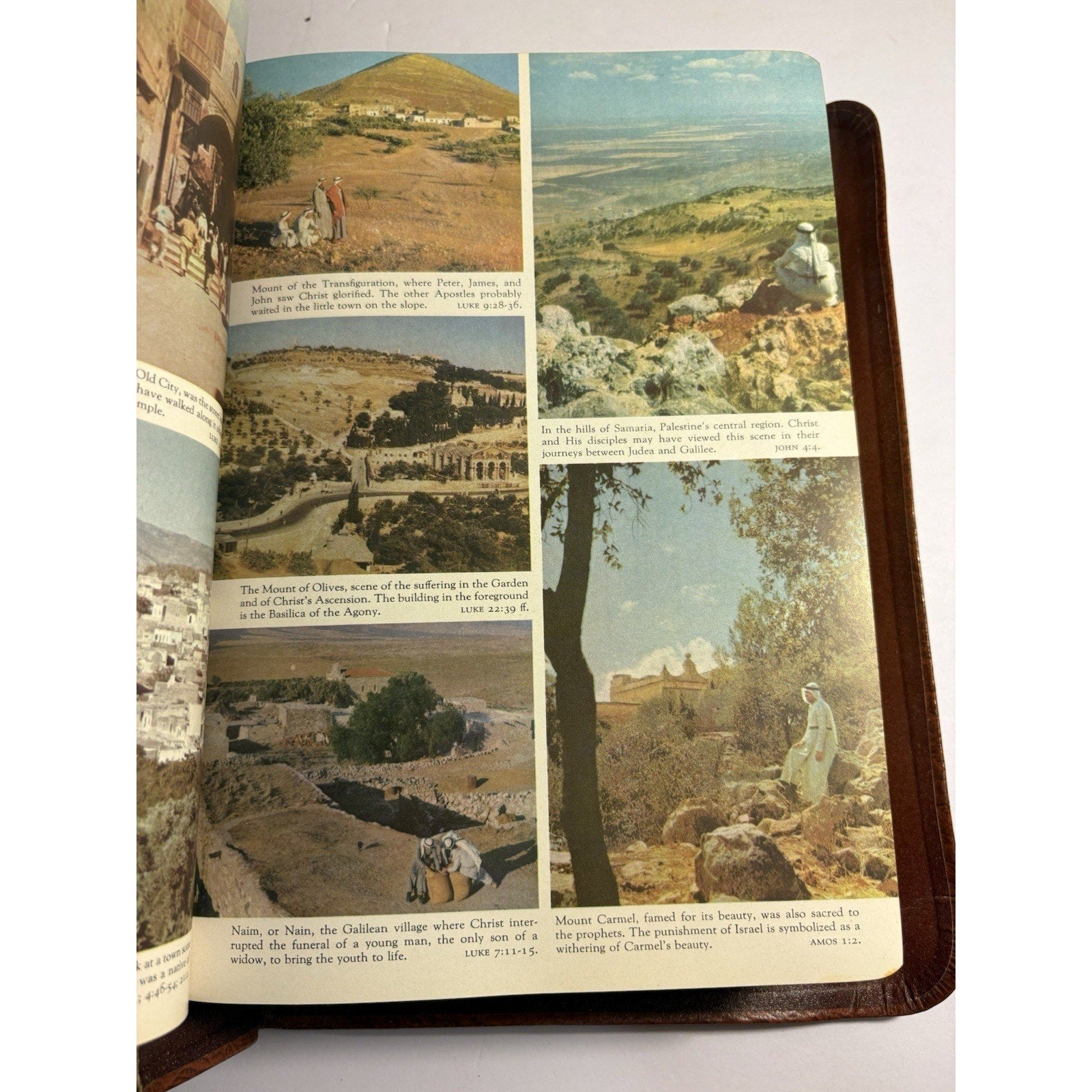 Holy Bible Heritage Deluxe Edition KJV 1955 Leather Consolidated Book Publishers - Humphrey's Book Den