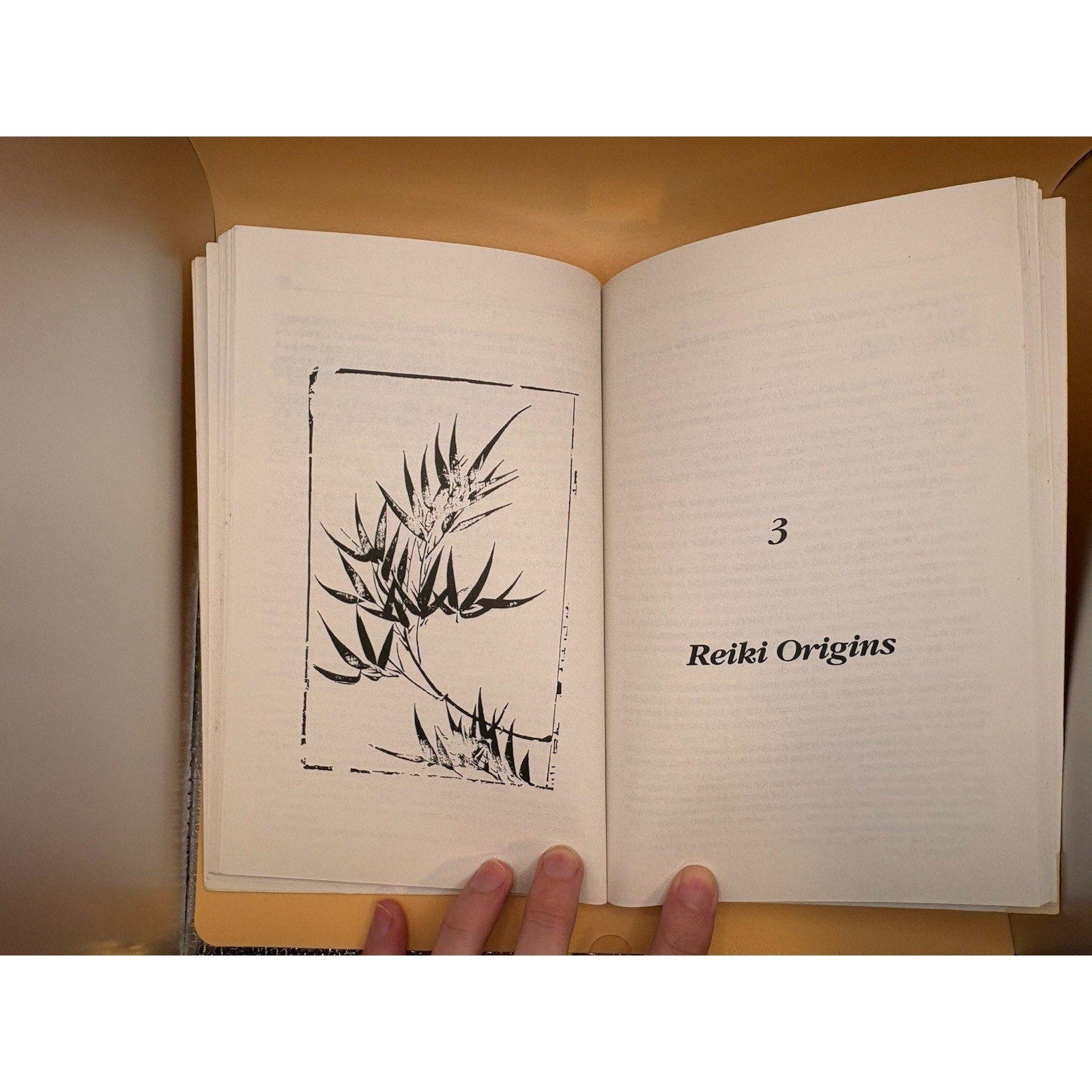 Living Reiki Takata’s Teachings Fran Brown 1992 LifeRhythm Hardcover - Humphrey's Book Den