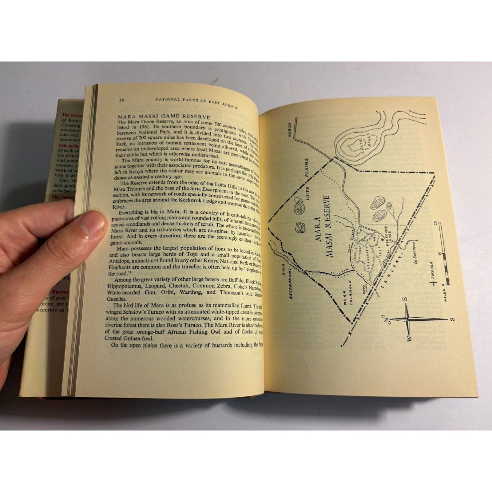 Lot of 3 Africa Wildlife Books – National Geographic & Field Guides - Humphrey's Book Den