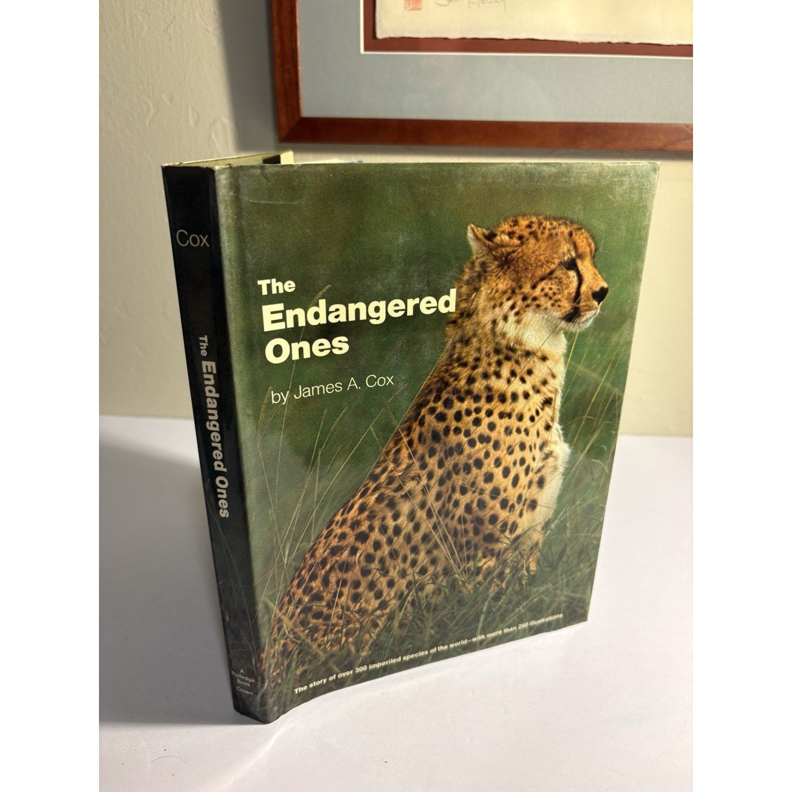 Lot of 3 Africa Wildlife Books – National Geographic & Field Guides - Humphrey's Book Den