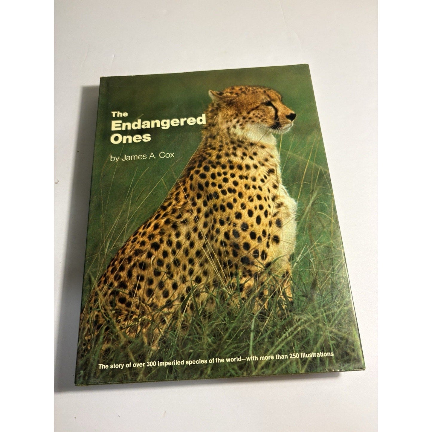 Lot of 3 Africa Wildlife Books – National Geographic & Field Guides - Humphrey's Book Den