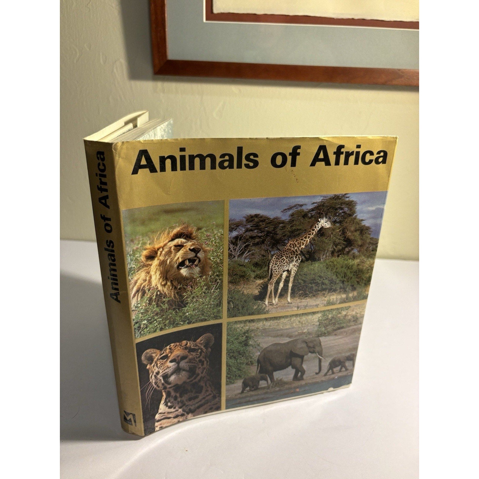 Lot of 3 Africa Wildlife Books – National Geographic & Field Guides - Humphrey's Book Den