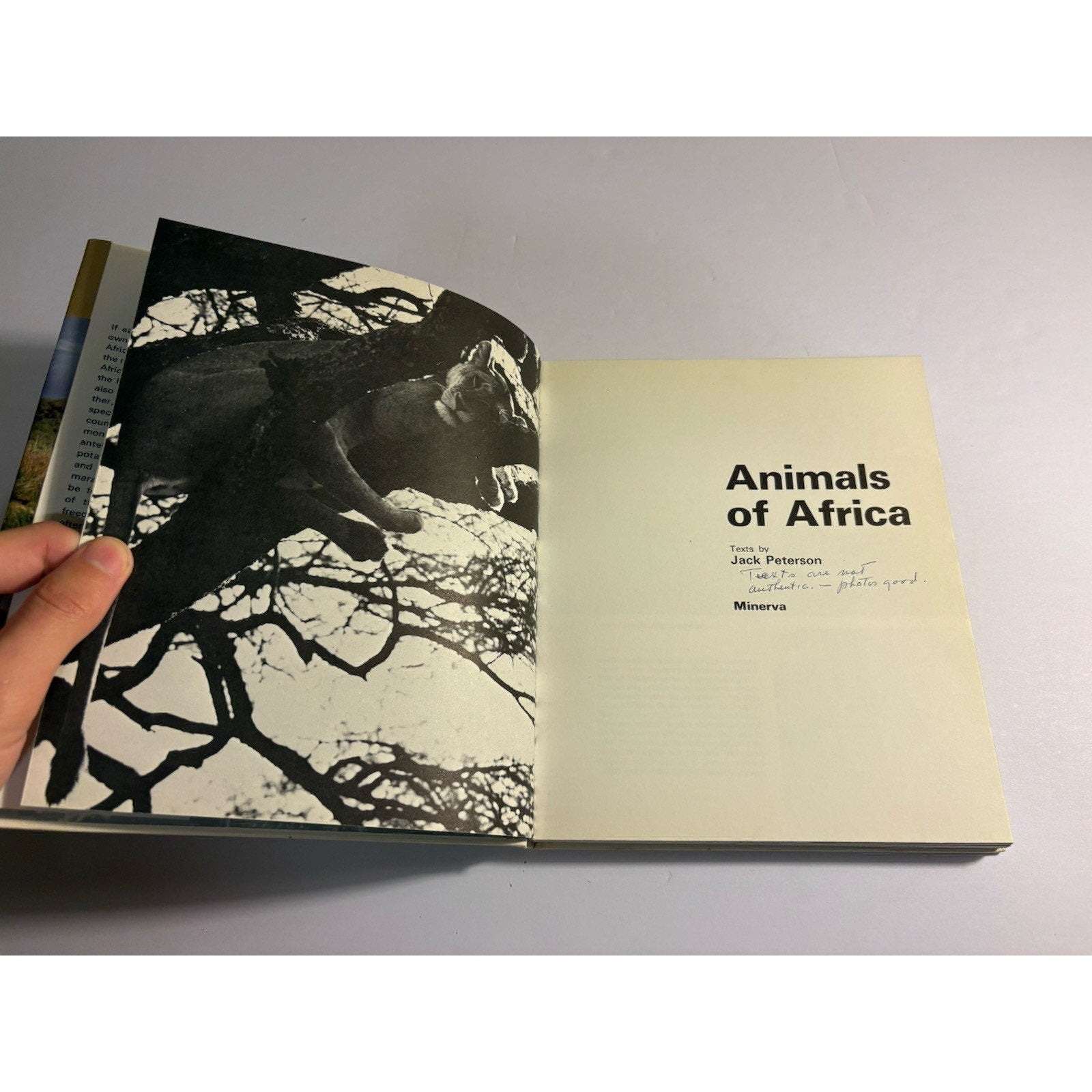 Lot of 3 Africa Wildlife Books – National Geographic & Field Guides - Humphrey's Book Den