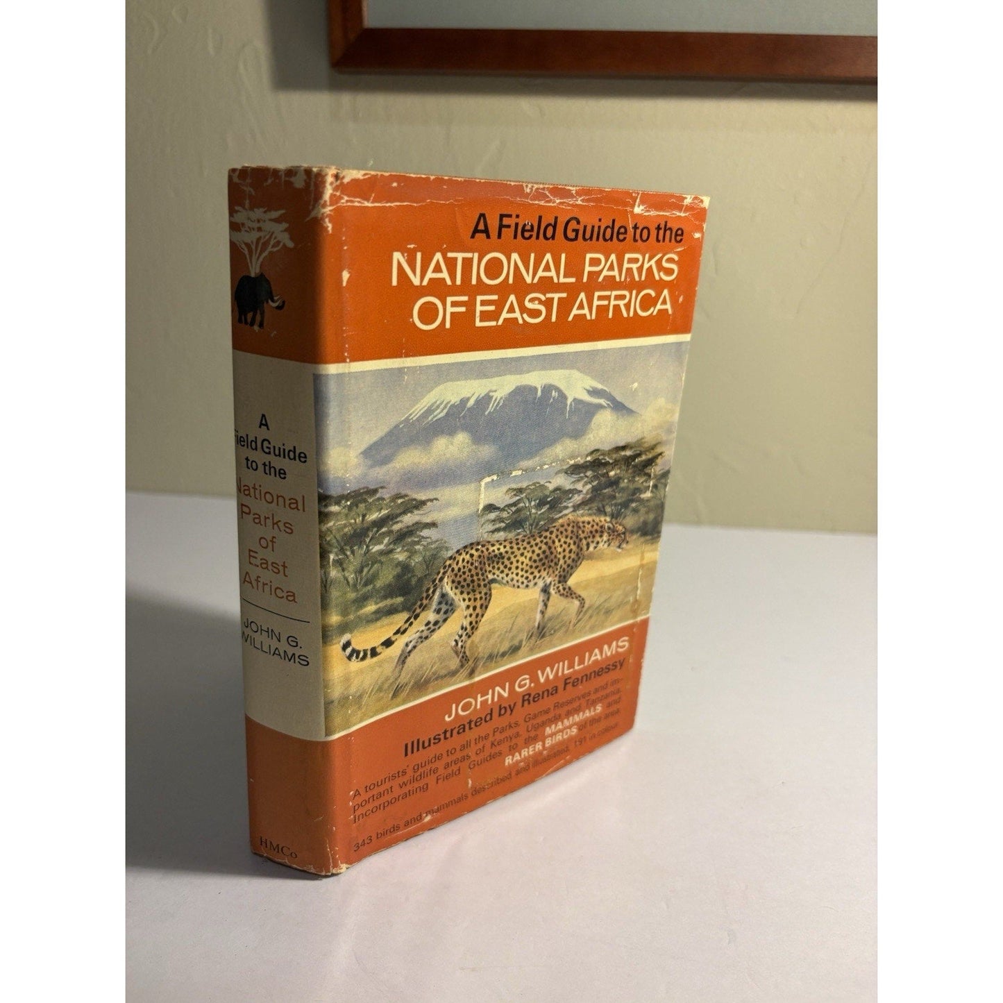 Lot of 3 Africa Wildlife Books – National Geographic & Field Guides - Humphrey's Book Den