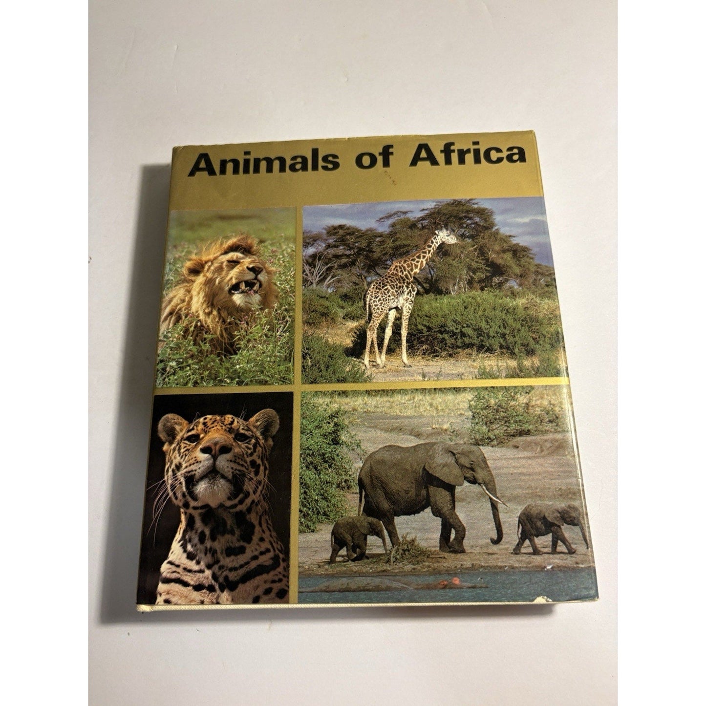 Lot of 3 Africa Wildlife Books – National Geographic & Field Guides - Humphrey's Book Den
