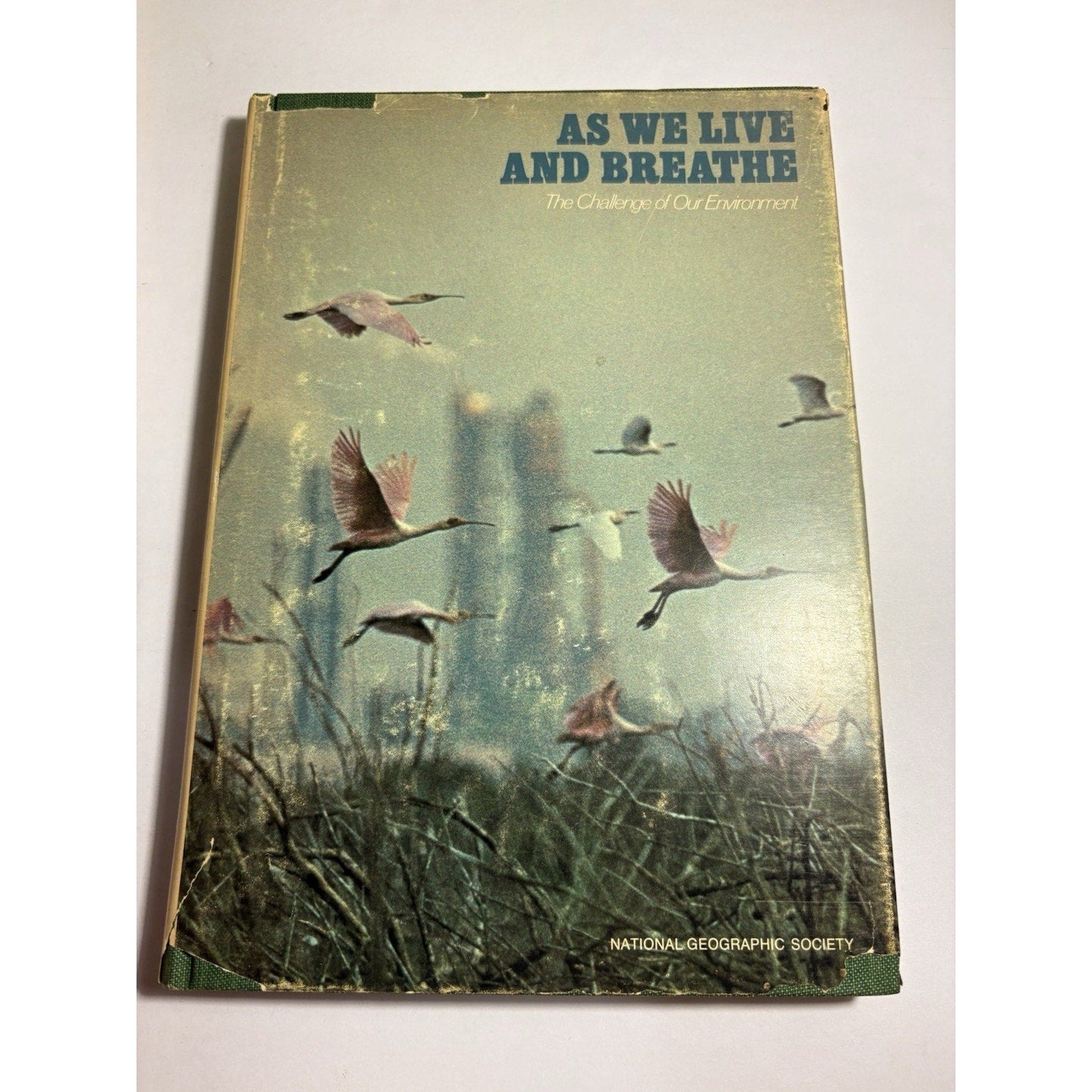 National Geographic Hardcover Book Lot 10 American History Nature Culture - Humphrey's Book Den