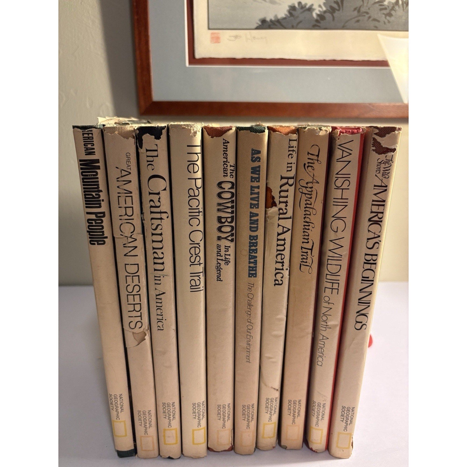National Geographic Hardcover Book Lot 10 American History Nature Culture - Humphrey's Book Den