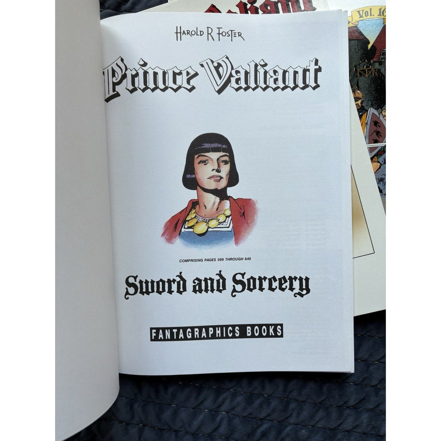 Prince Valiant Fantagraphics Book Lot Softcover Vol. 14 - 23 1991 First Ed, 1st Pr - Humphrey's Book Den