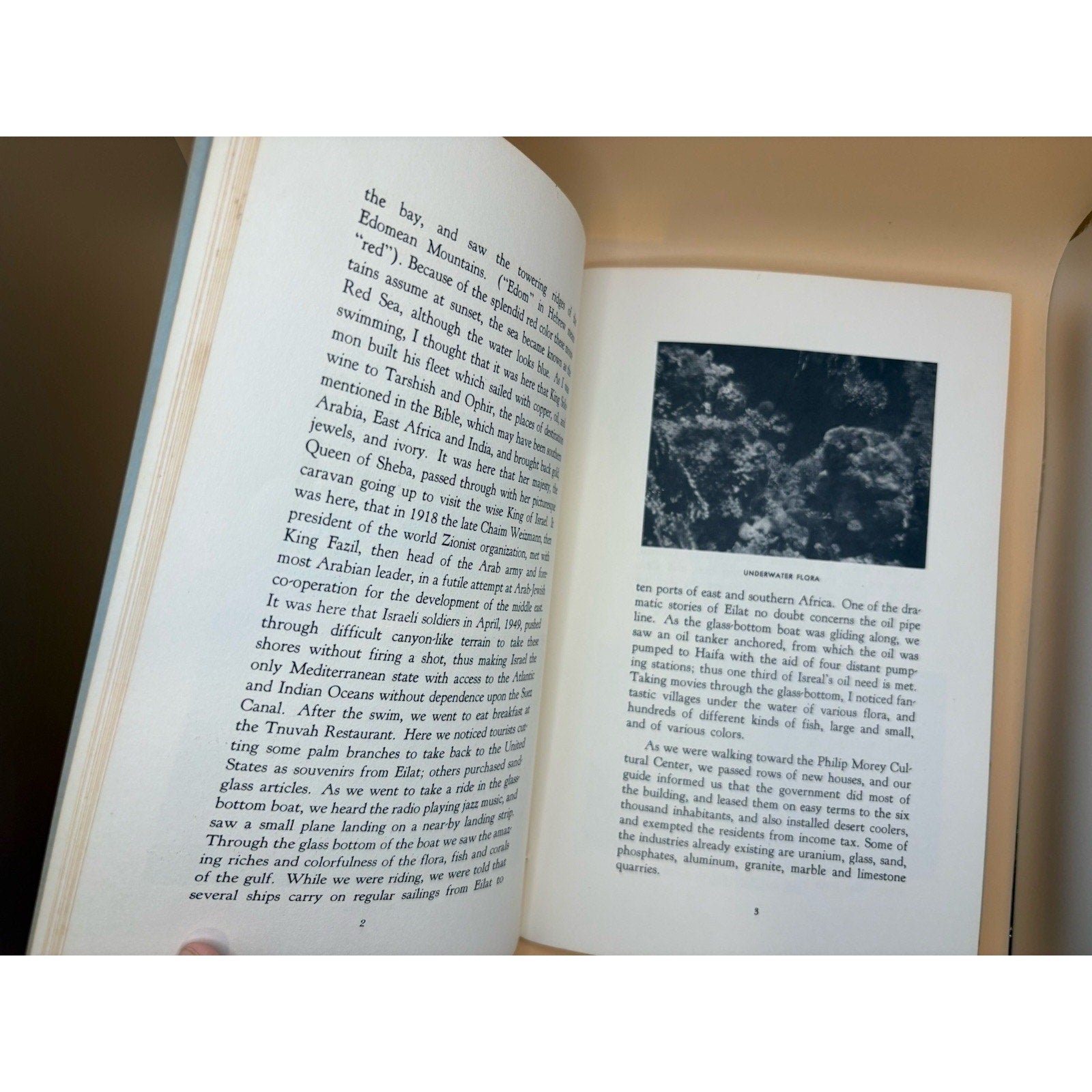 Signed 1962 Pilgrimage to the Land of the Bible Jacob M. Elbaum First Edition - Humphrey's Book Den