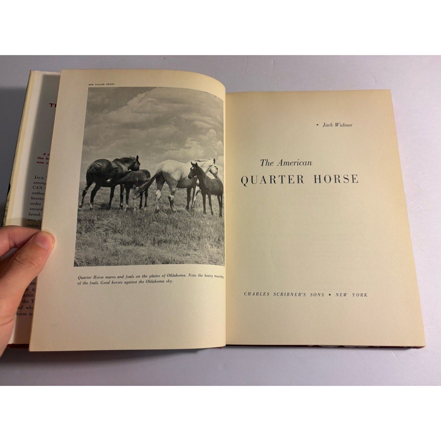 The American Quarter Horse – Jack Widmer (1959) Scribner HC w/ DJ - Humphrey's Book Den