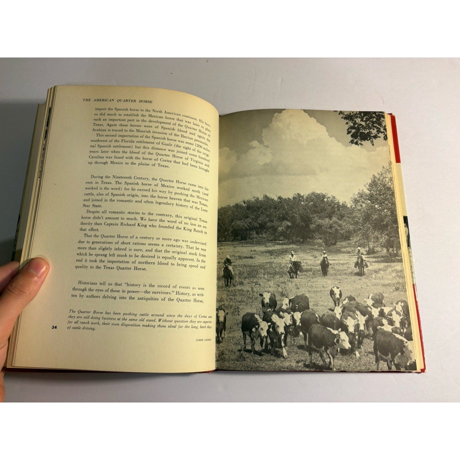 The American Quarter Horse – Jack Widmer (1959) Scribner HC w/ DJ - Humphrey's Book Den