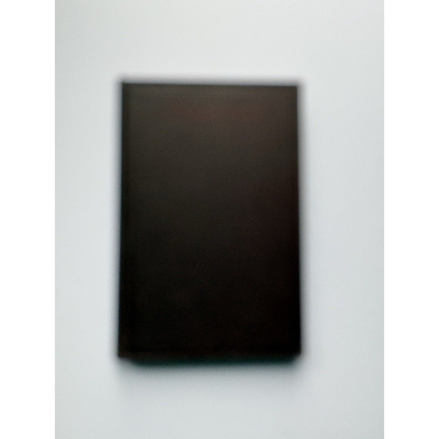 The Embryology of the Pig Patten 1931 2nd Ed. Blakiston HC Veterinary Anatomy - Humphrey's Book Den