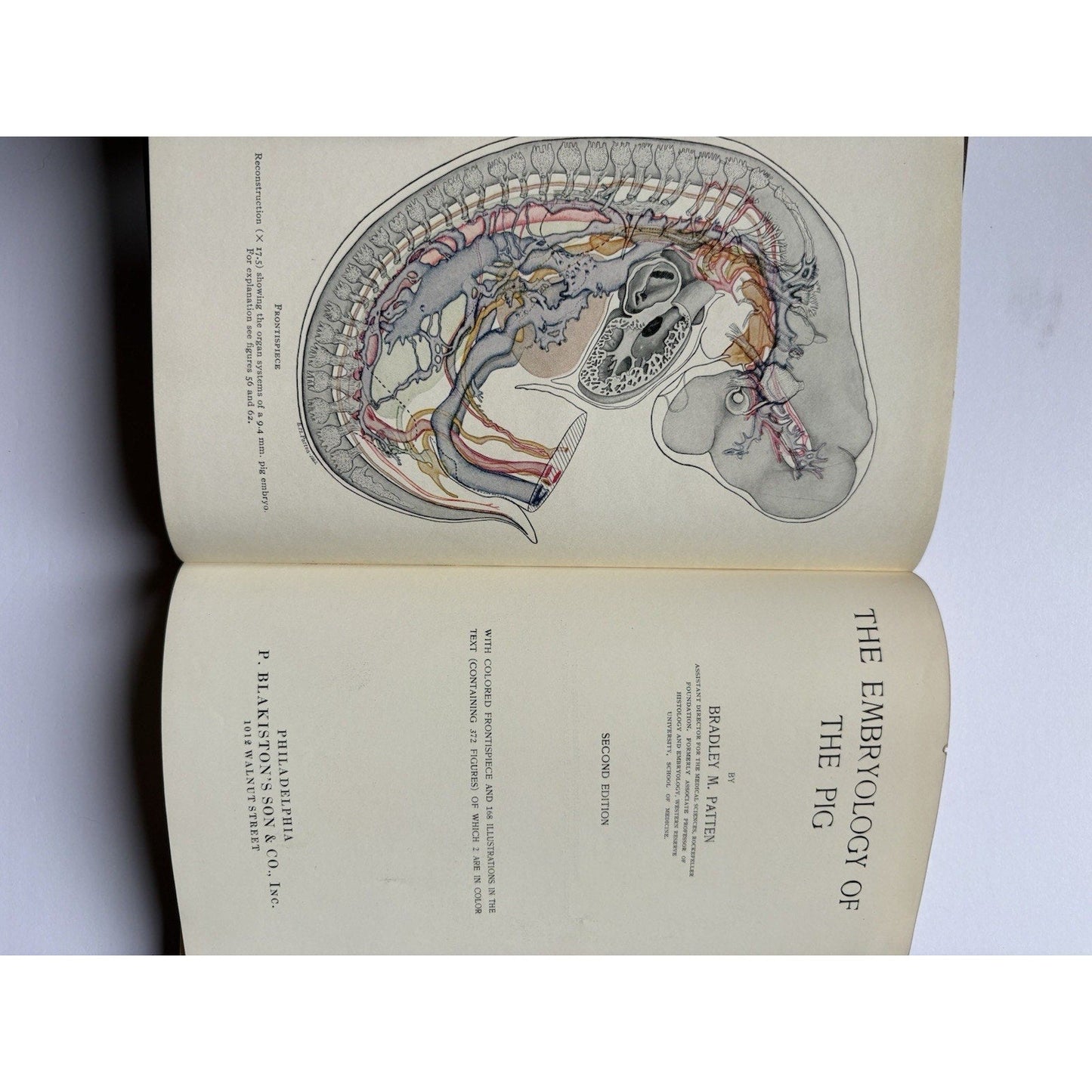 The Embryology of the Pig Patten 1931 2nd Ed. Blakiston HC Veterinary Anatomy - Humphrey's Book Den