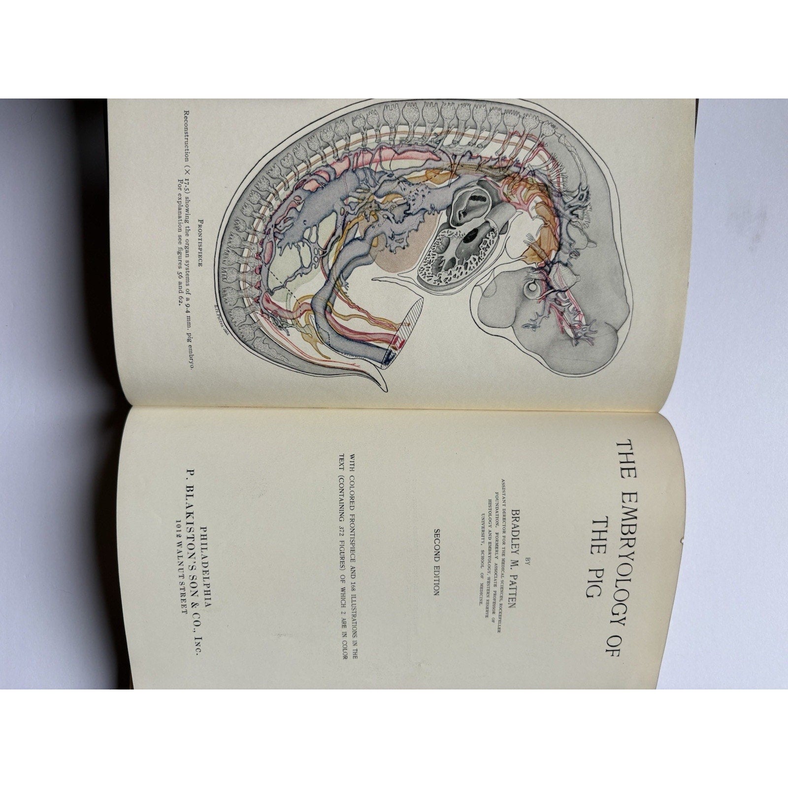 The Embryology of the Pig Patten 1931 2nd Ed. Blakiston HC Veterinary Anatomy - Humphrey's Book Den
