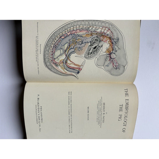 The Embryology of the Pig Patten 1931 2nd Ed. Blakiston HC Veterinary Anatomy - Humphrey's Book Den