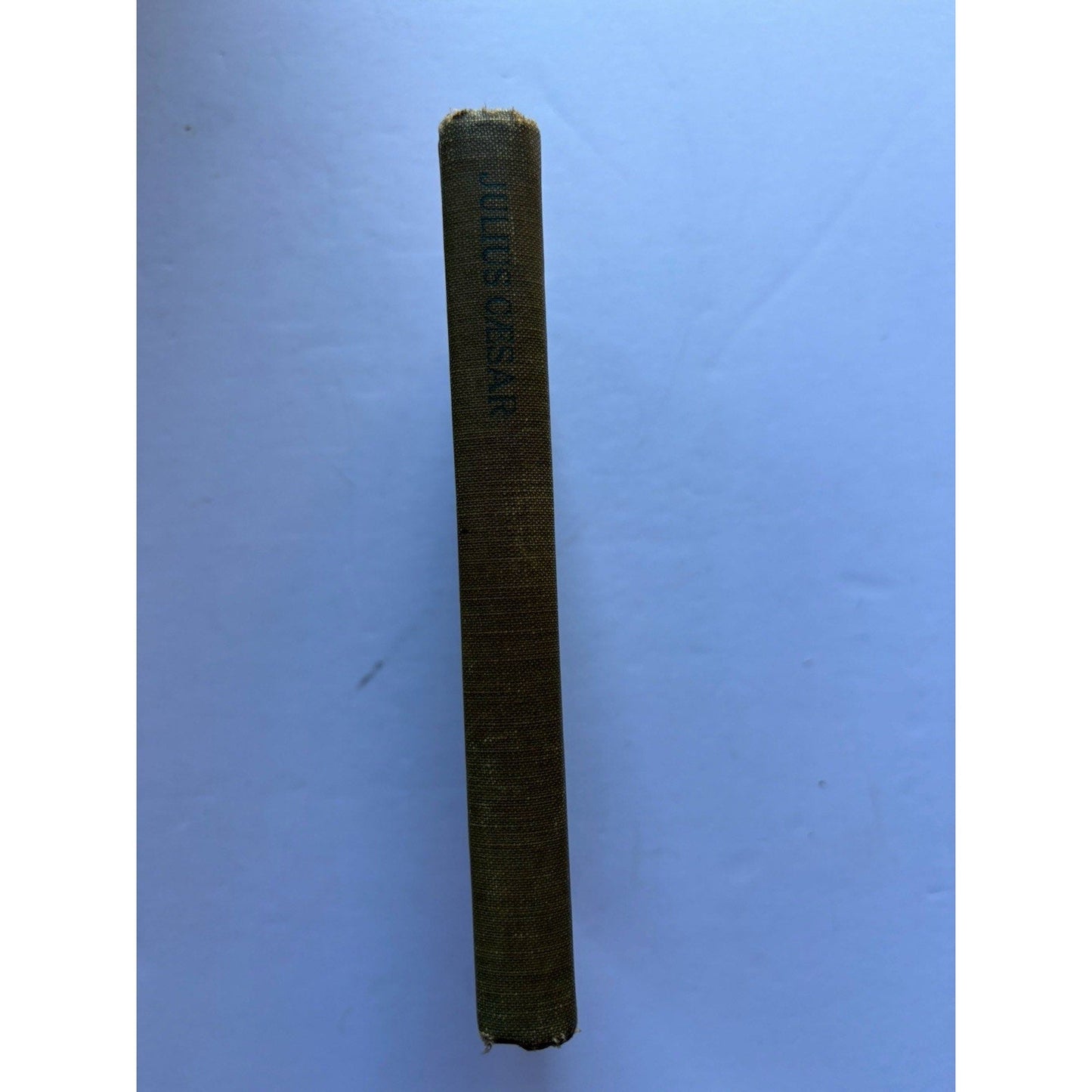 Vintage Julius Caesar 1915 Arden Shakespeare Strunk Jr. D.C. Heath HC Book - Humphrey's Book Den