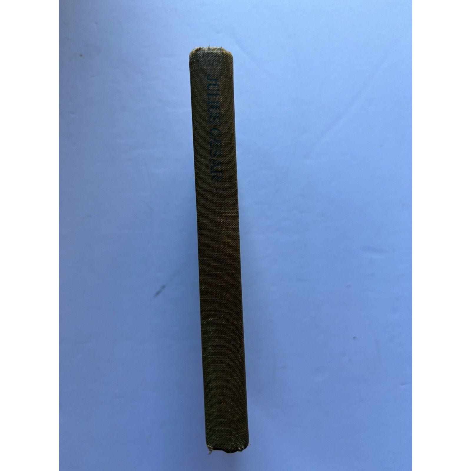 Vintage Julius Caesar 1915 Arden Shakespeare Strunk Jr. D.C. Heath HC Book - Humphrey's Book Den